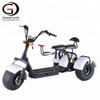 Double Removable Batteries 3 Wheel Electric Tricycle, 3 Wheels Electric Scooter with Fat Tires | Gaeacycle Citycoco Electric Scooter