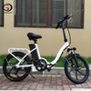 Folding Electric Bike with Cheap Price, 350W 48V 10Ah, 20Inch Tires, Aluminum Alloy Frame | GaeaCycle Queen