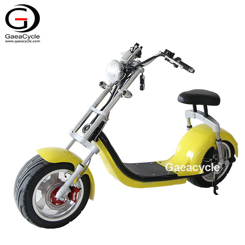 Lithium Battery Citycoco Fat Tire Electric Scooter with Seat, 2000W Brushless Motor | Electric Scooter Manufacturer | GaeaCycle