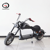GaeaCycle U1 New Citycoco Electric Scooter 2000w 12inch Fat Wheel Electric Scooter 