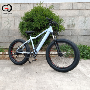 Fat Tire Electric Mountain Bikes with Wholesale Price, Customizable Motor and Battery, Large Capacity Battery, Powerful Motor | GaeaCycle Electric Bike Manufacturer