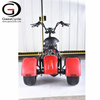Double Removable Batteries 3 Wheel Electric Tricycle, 3 Wheels Electric Scooter with Fat Tires | Gaeacycle Citycoco Electric Scooter