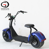 Most Popular 1000W 60V Electric Scooter Harley Citycoco | Fat Tire Electric Scooter Supplier | GaeaCycle